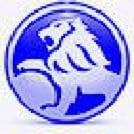 LWY-2 emblem