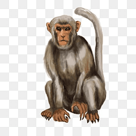 SMGG emblem
