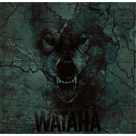 D_D_W emblem