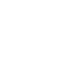 KN-C emblem