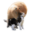 CAPYB emblem
