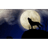 SAKAL emblem