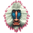 PAWPA emblem