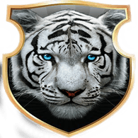 M-F-T emblem