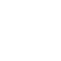 CCM4F emblem