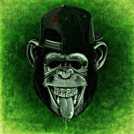 WVN emblem