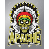 APACI emblem