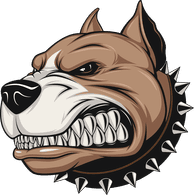 S0LID emblem