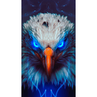 _BHS_ emblem
