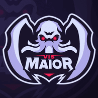 VISM emblem