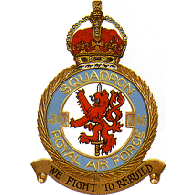 310FS emblem