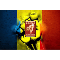 S_FI emblem