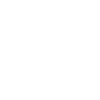D-F-T emblem