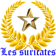 1-CAT emblem
