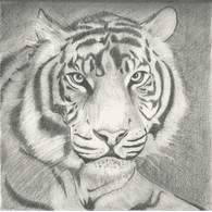 INT3R emblem