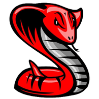 IMS emblem