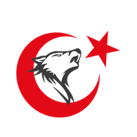 4TURK emblem