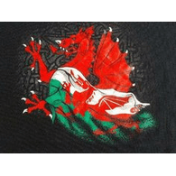 KINGD emblem