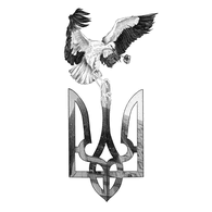 CVVR emblem