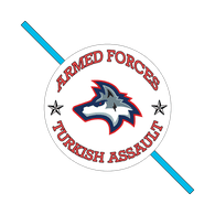 TT-R emblem