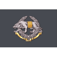 MIXUA emblem
