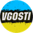 VGSTI emblem