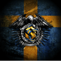 STS1 emblem