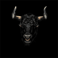 YUR emblem