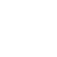 SLTUA emblem