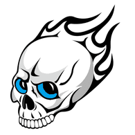 S_PLA emblem