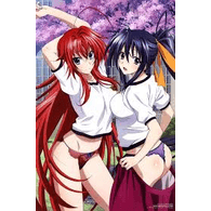 H_DXD emblem