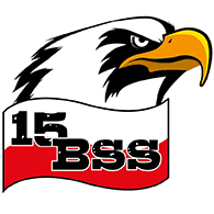 15BSS emblem