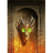 DAWOD emblem