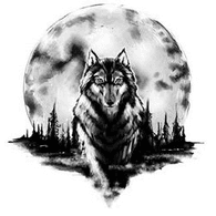7WOLF emblem