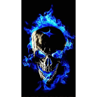 SKRYD emblem