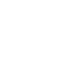 S-ST7 emblem