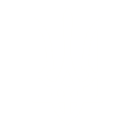 AZ0W emblem