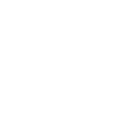 FD-13 emblem