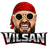 VILSN emblem