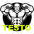 TESTO emblem
