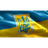 DIMUA emblem