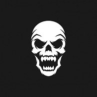 28RCS emblem