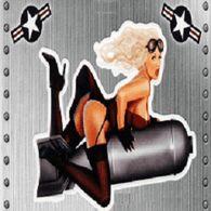 TGN emblem