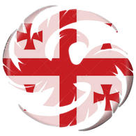 224TH emblem