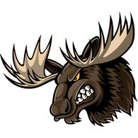 LOSI emblem