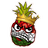PICON emblem