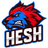 HESH_ emblem