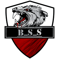 B_S_S emblem