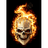 VIR_I emblem