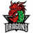 TE-DR emblem